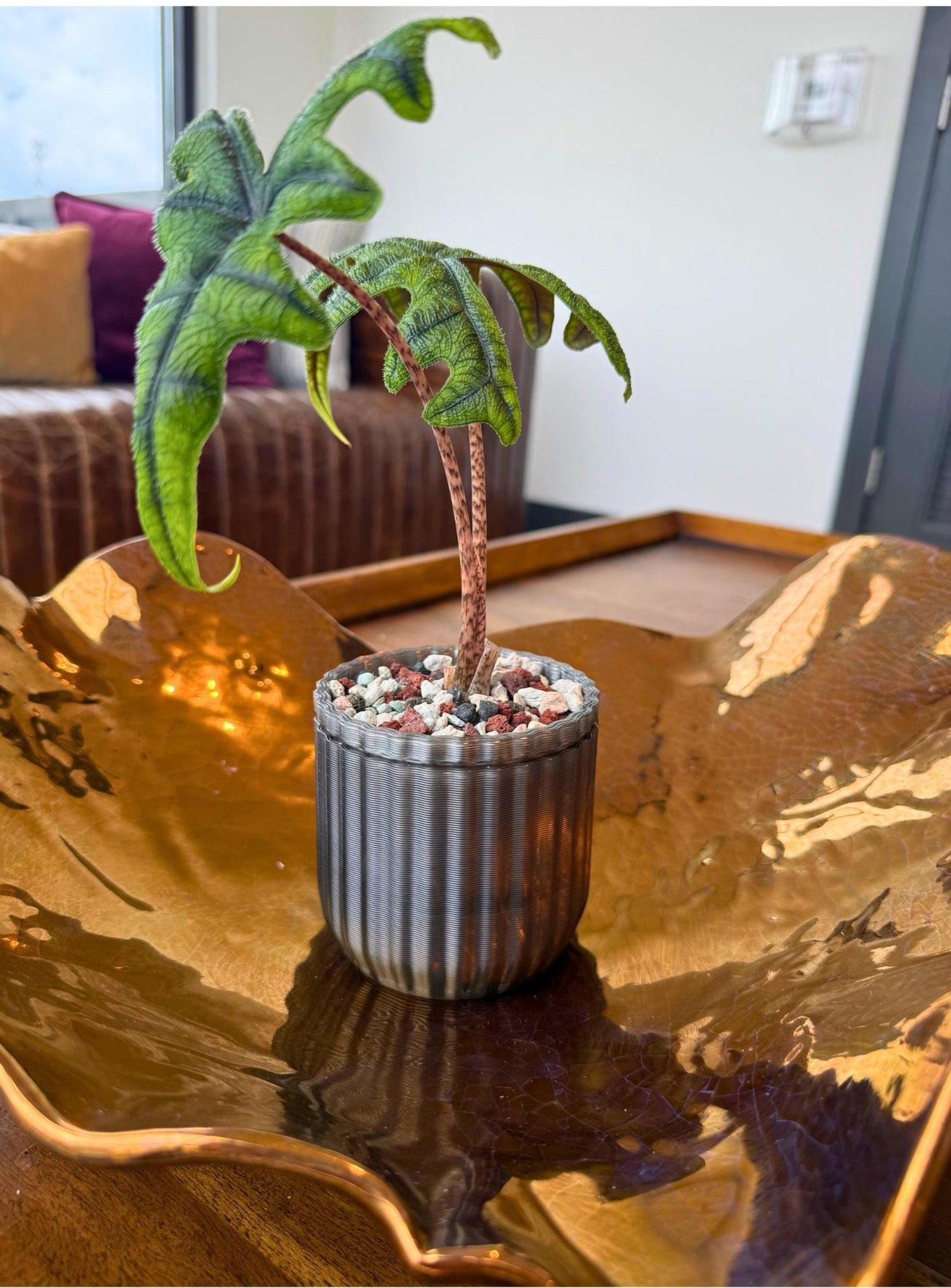 Monk Pot Mini Kit
