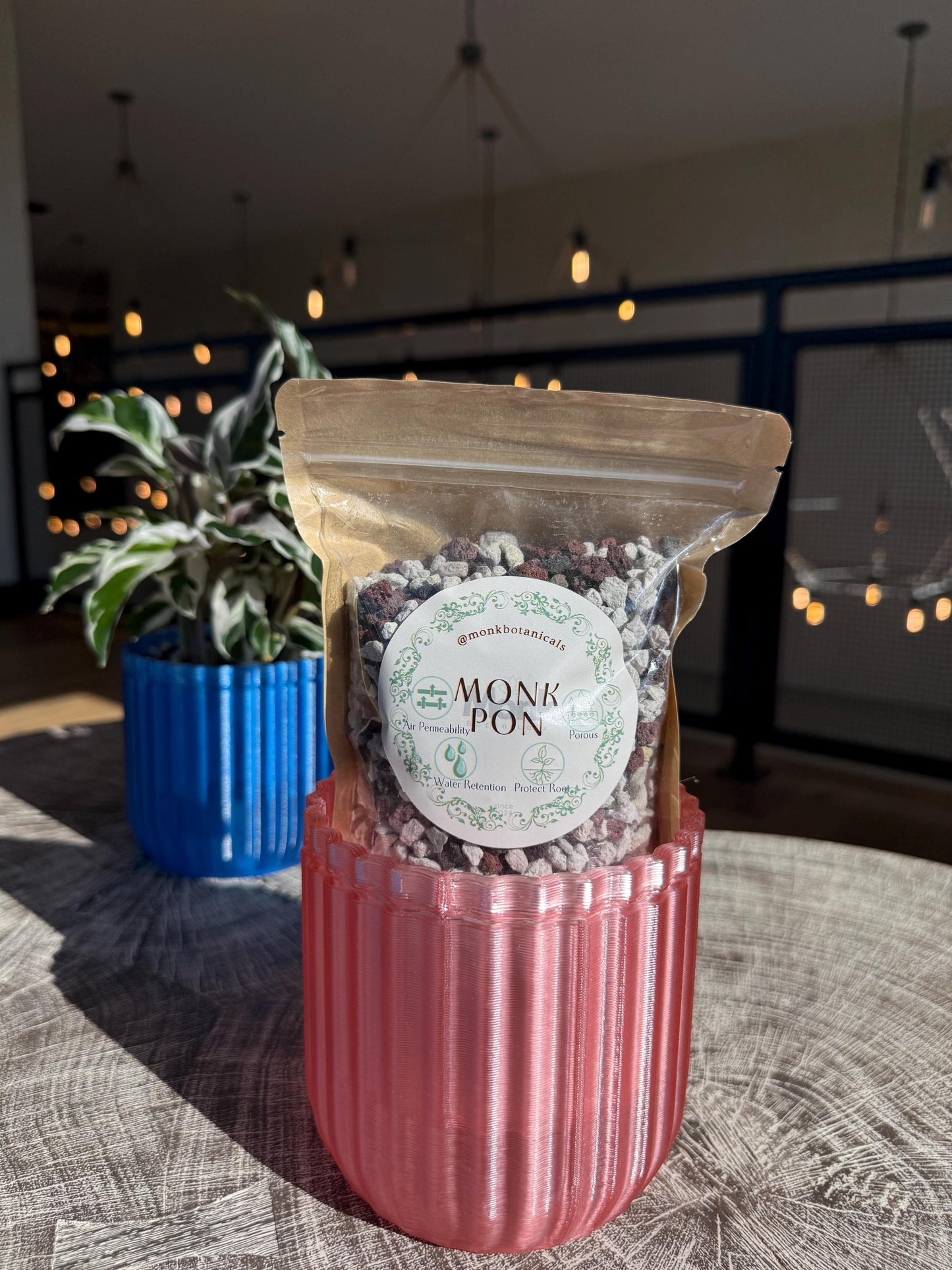 Monk Houseplant Kit