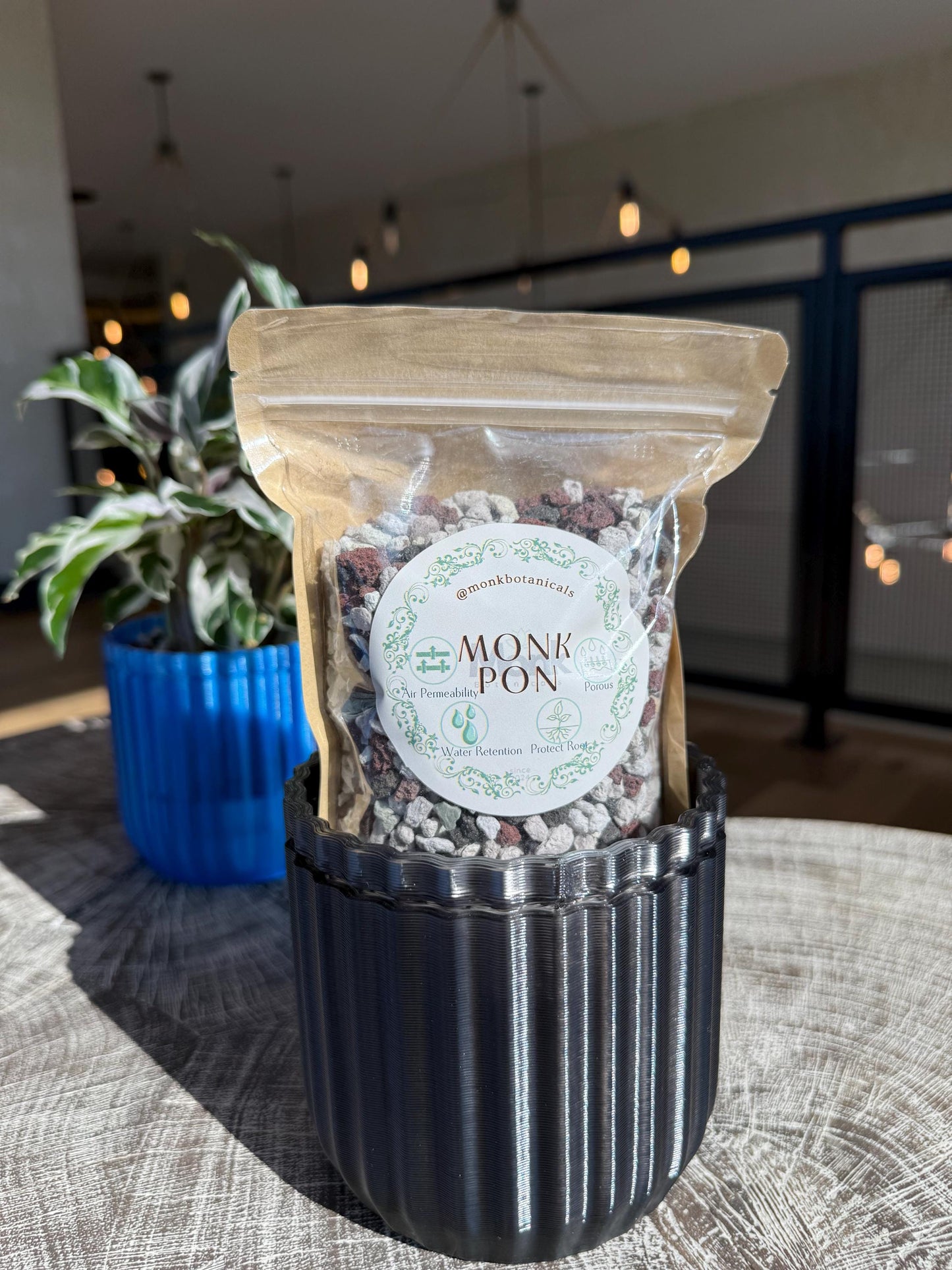 Monk Houseplant Kit