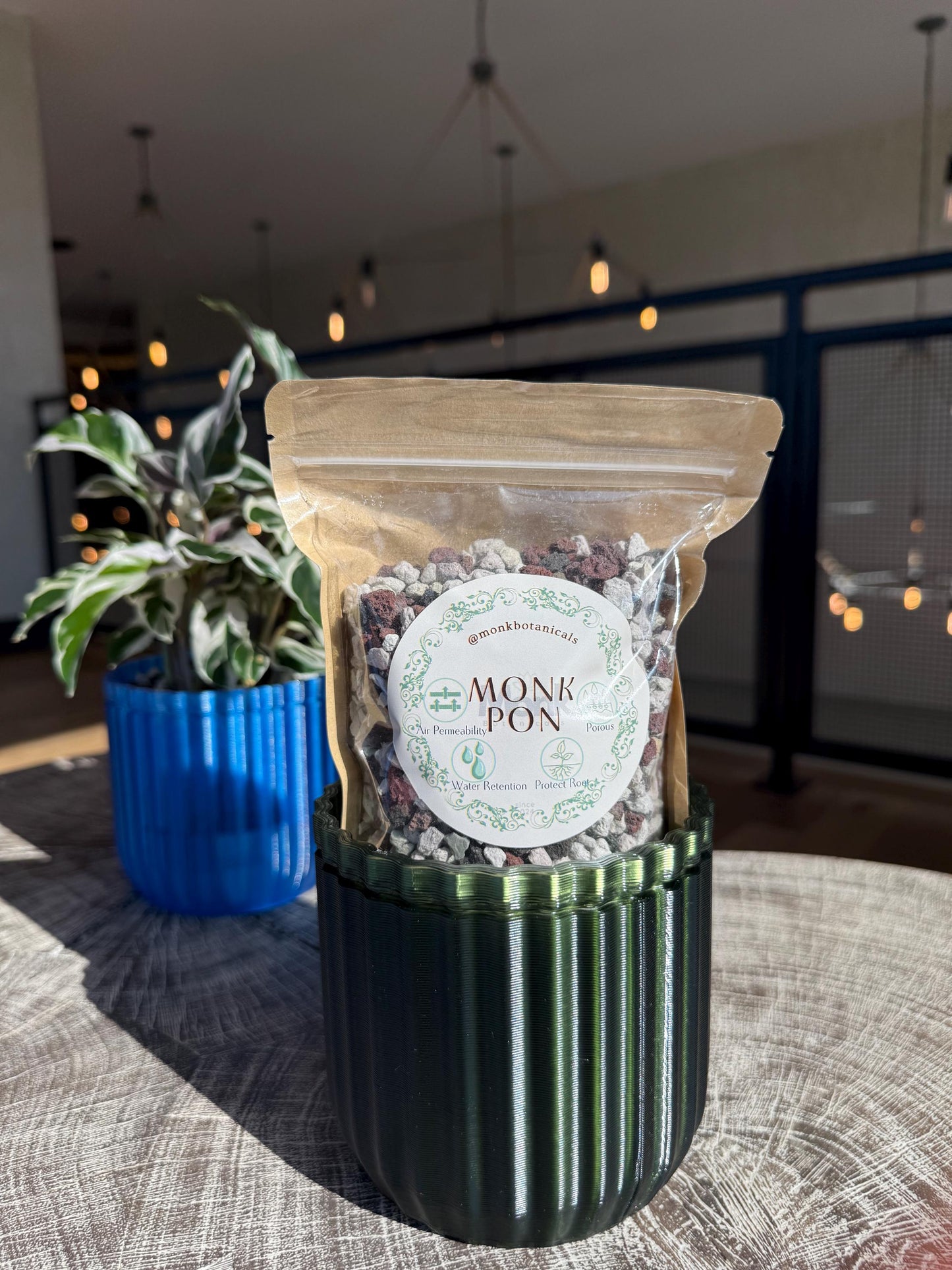 Monk Houseplant Kit