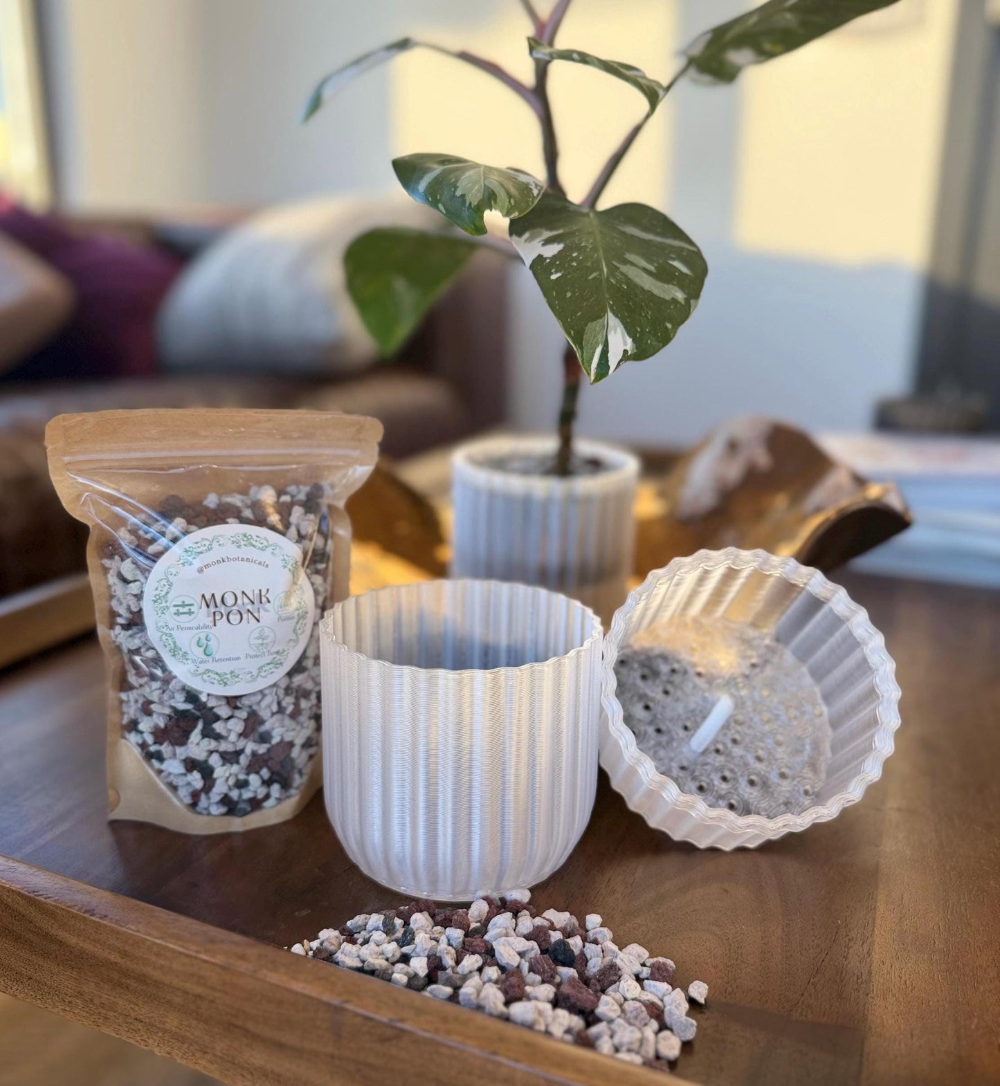 Monk Houseplant Kit