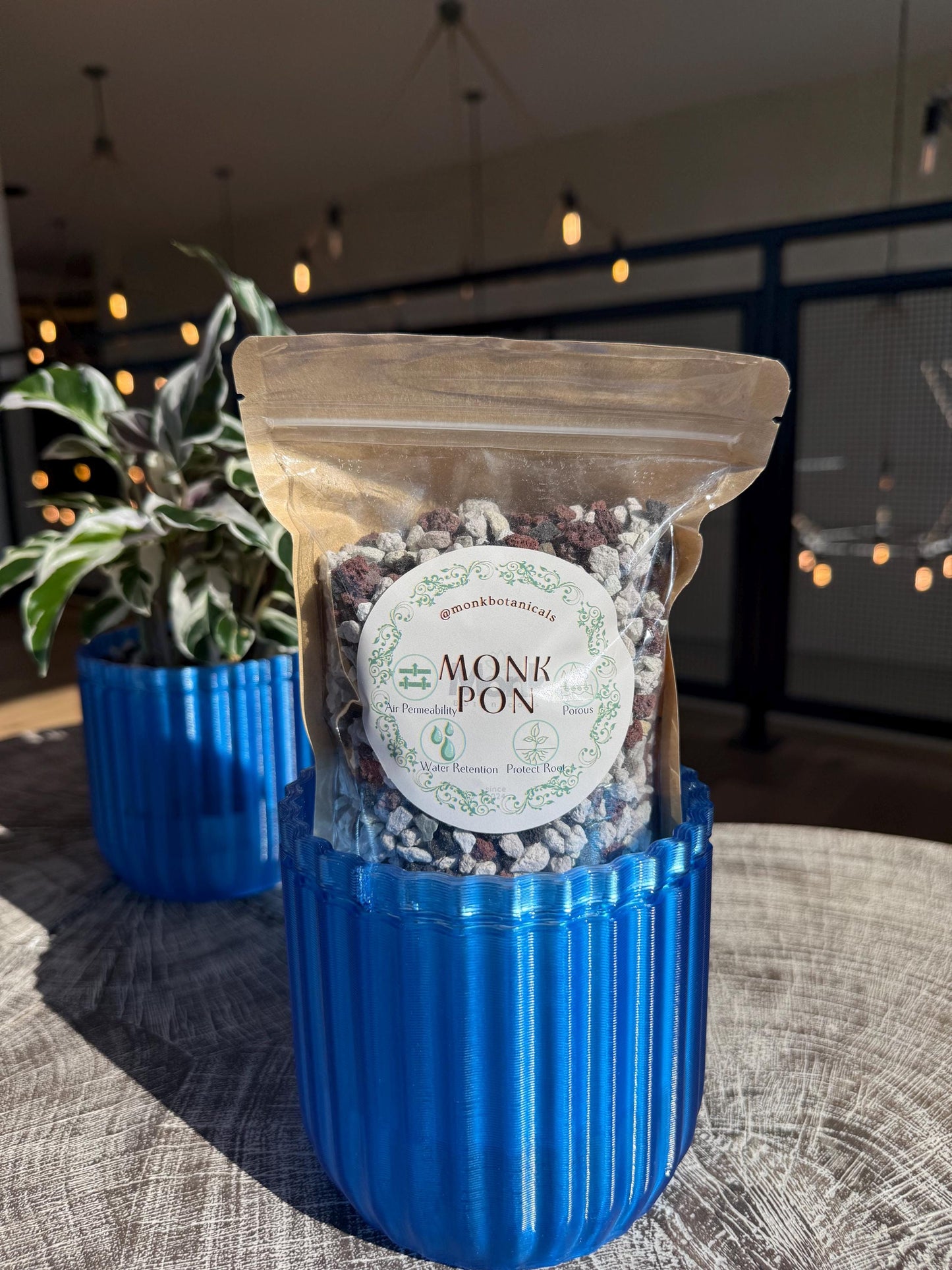 Monk Houseplant Kit