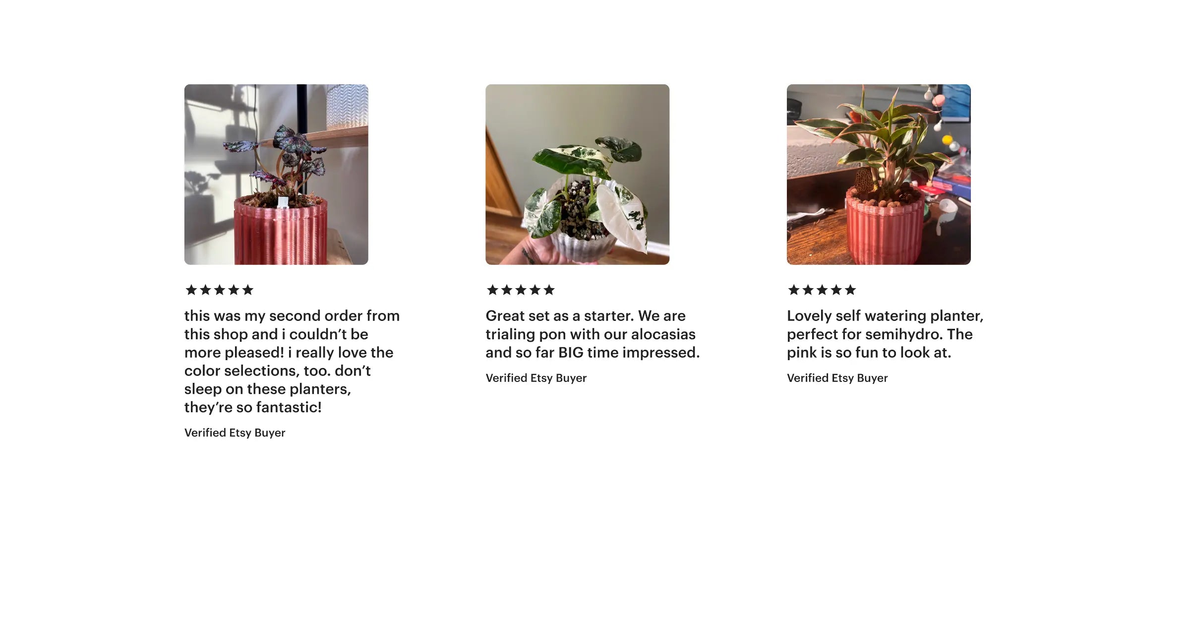 Product reviews for self-watering plants with customer feedback