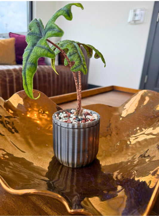 Monk Pot Mini Kit