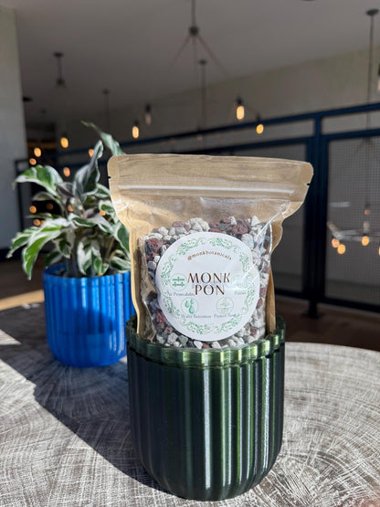 Monk Houseplant Kit