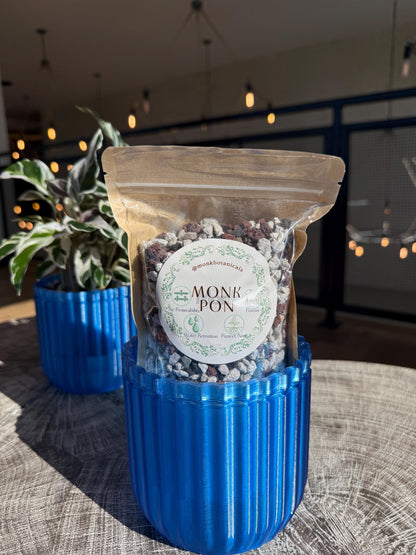 Monk Houseplant Kit