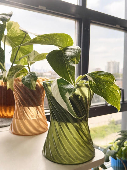 Monk Vortex self-watering planters with houseplants