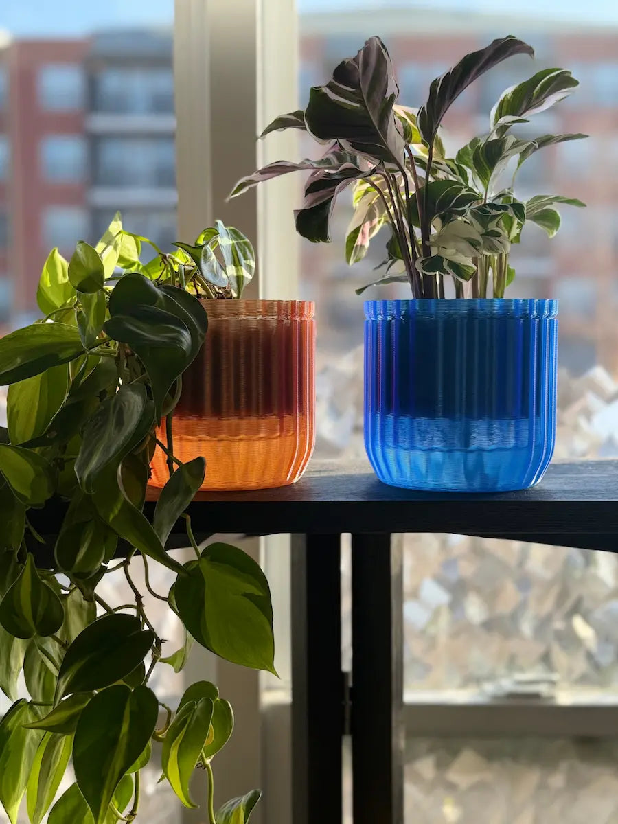 Two potted plants in colorful  monk pots on a table