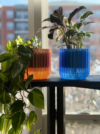 Two potted plants in colorful  monk pots on a table