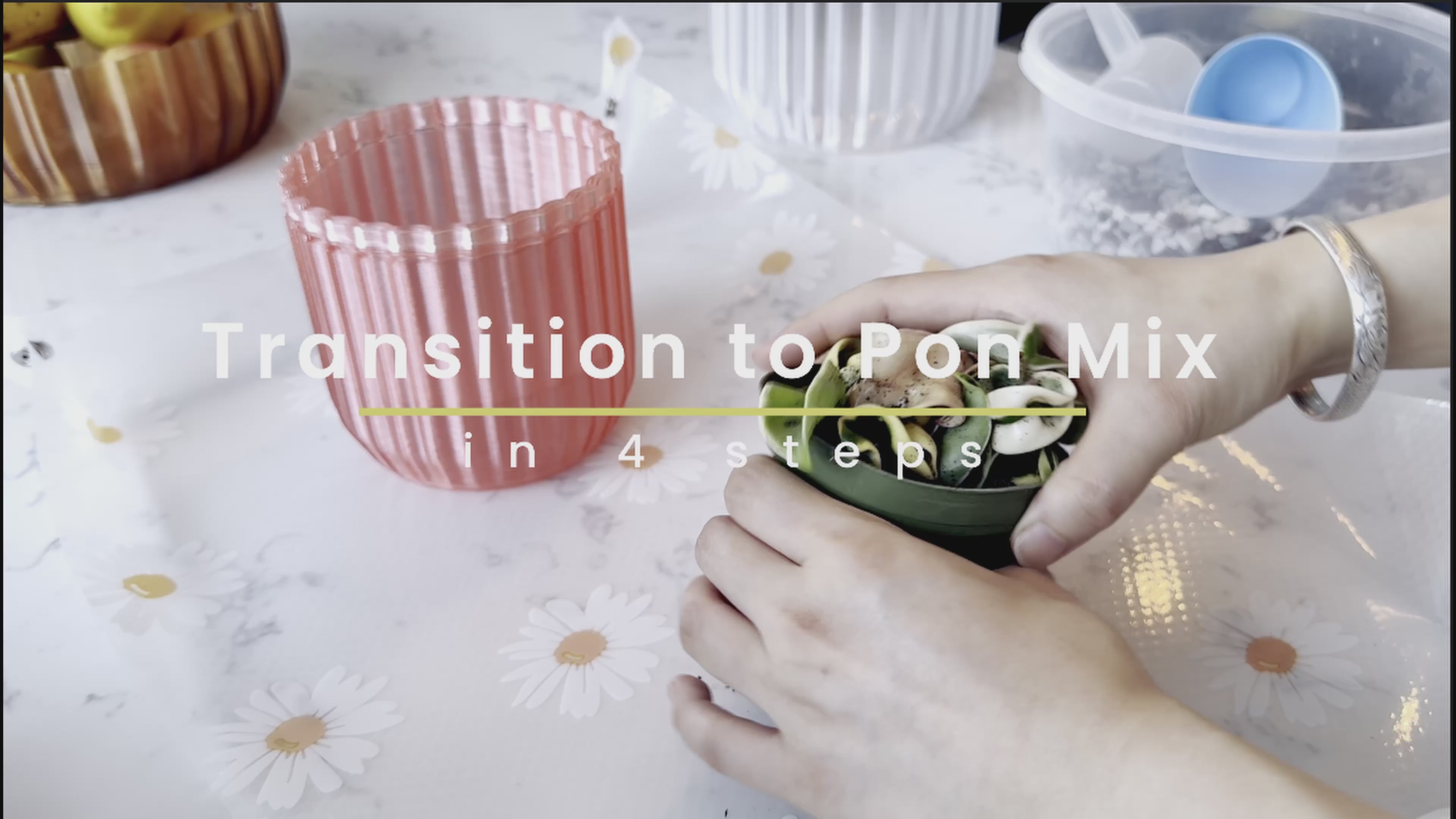 Load video: Transitioning to Pon Mix