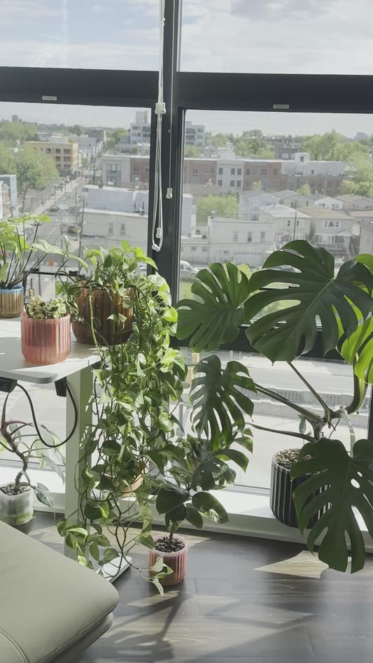 Monk Classic – Self-Watering Planter