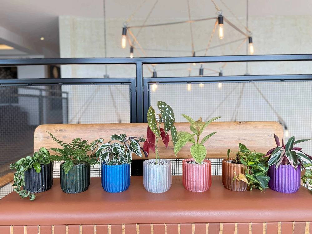 Home Monk Pots in various colors - modern - self watering planters for houseplants